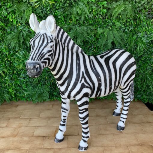 Zebra Animal - Black and white striped life like size - event prop for hire from SP Events Sydney